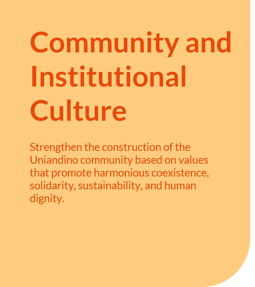 Community and Institutional Culture