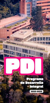 PDI 2026-2030